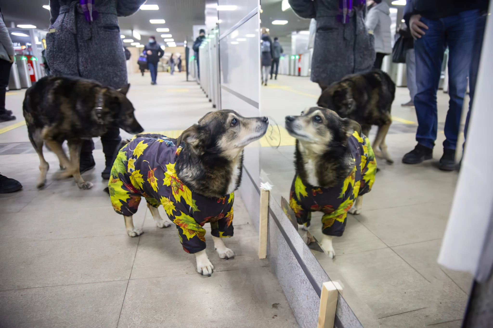 Баннер статьи