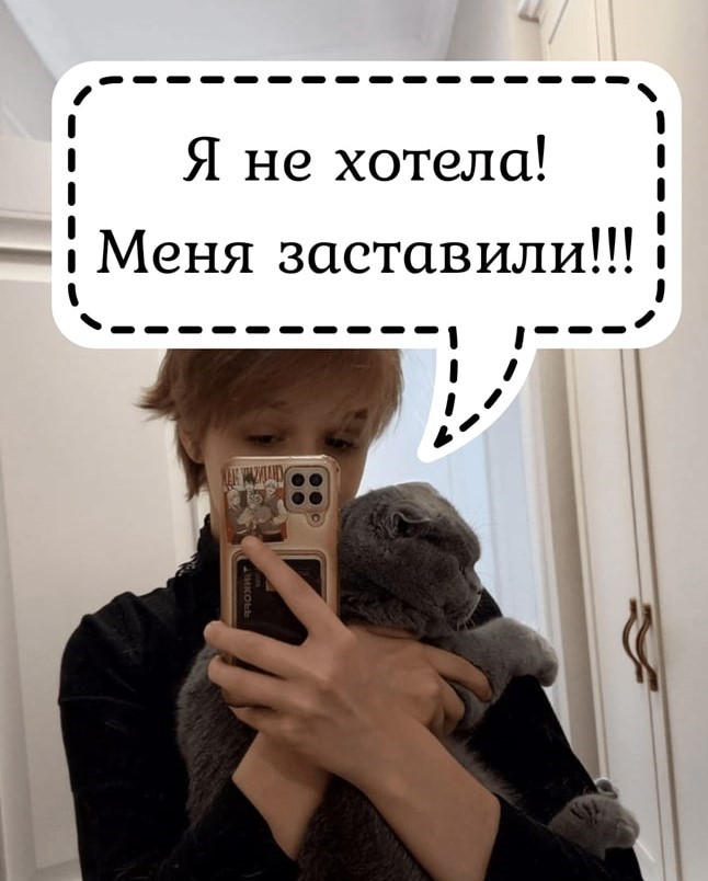 Московская Зеркальная Фабрика — о наших котах